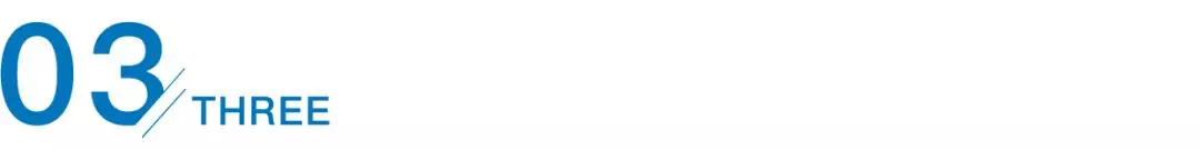 王贞仪 她因晚婚被骂怪物、只活了29岁,火遍全球的大清第一女科学家,为何在国内无人知晓?