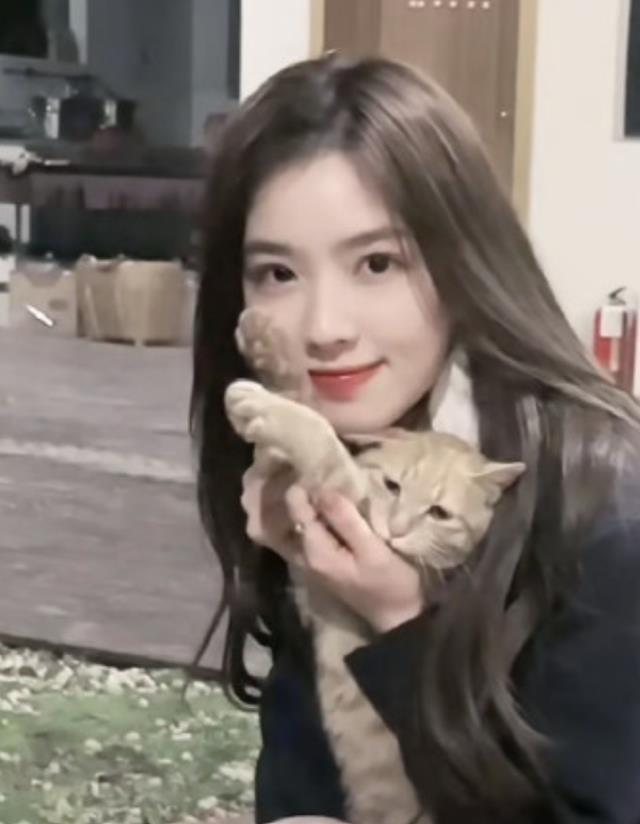 王思聪|王思聪与网红孙一宁互怼，刷20万礼物后要爆料，网红直播崩溃大哭