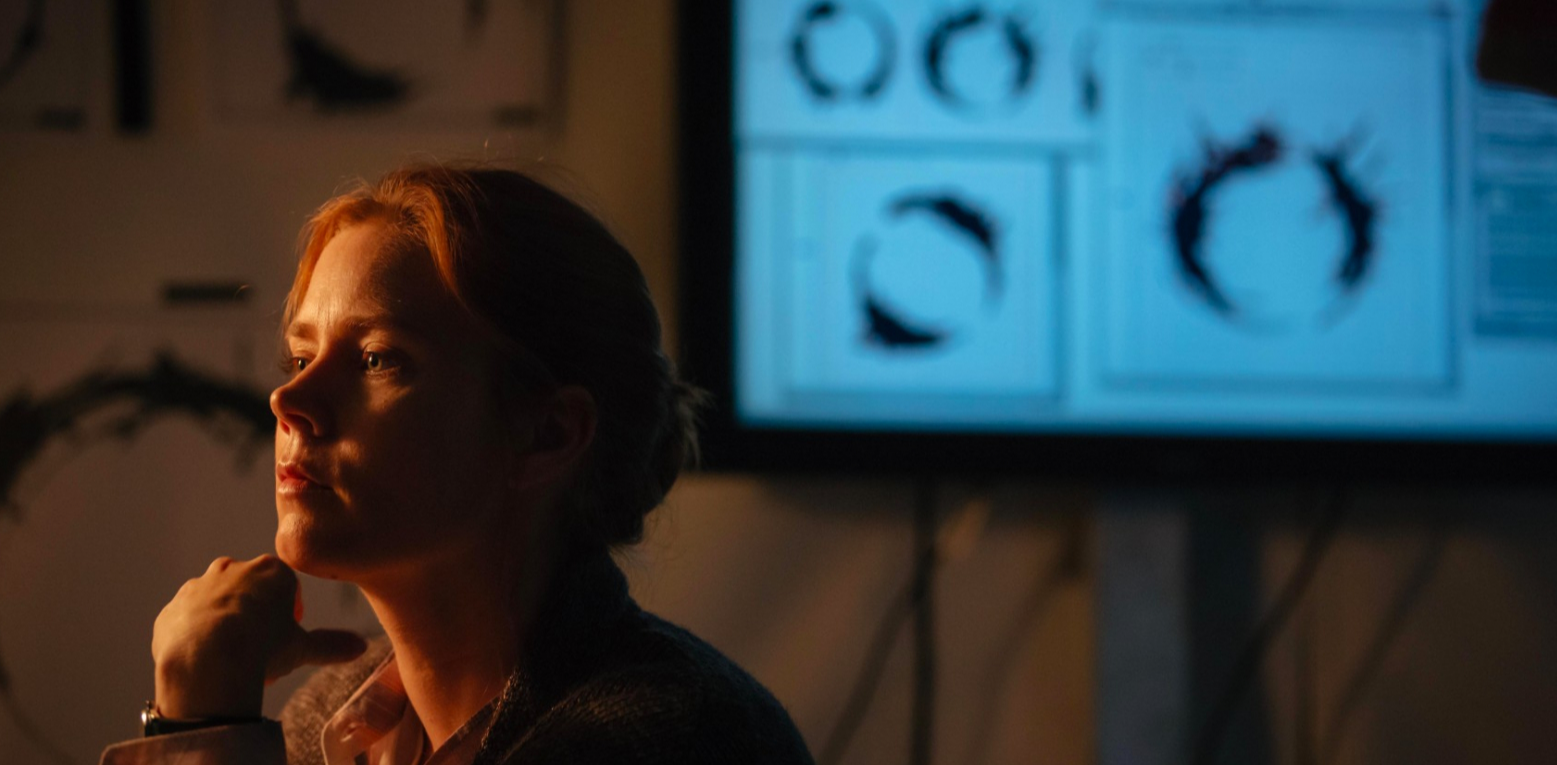 黑洞 用科学的角度看《异星入境》，虽预见死亡，仍选择相爱