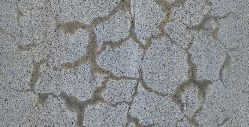 基因 气候变迁、能源废热怎么办？——专访材料科学与工程学吴欣洁教授