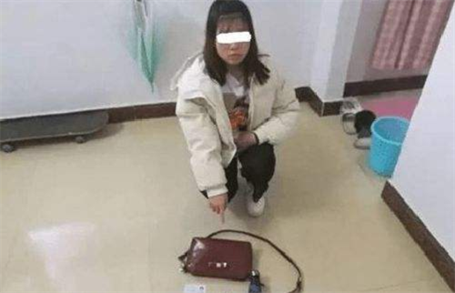 女子盗窃却被男主人侵犯,他们各自涉嫌什么罪?
