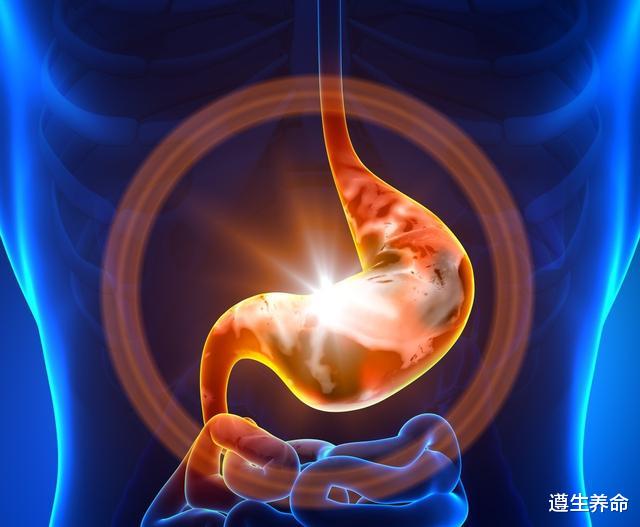 遵生养命 胃不舒服？医生提醒：这些“烧心”食物要少碰，多喝4茶，对胃好