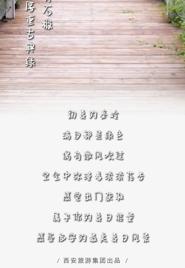 曲江新区 春天→夏天！前方到站秦岭绿色画廊