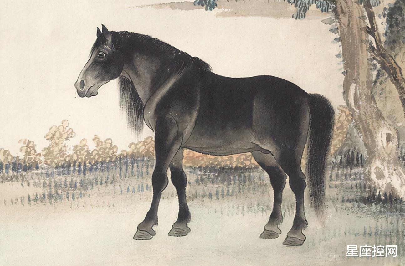 生肖|四个生肖曾经被人嘲笑，过了今年，事业带来收入，他人高攀不起