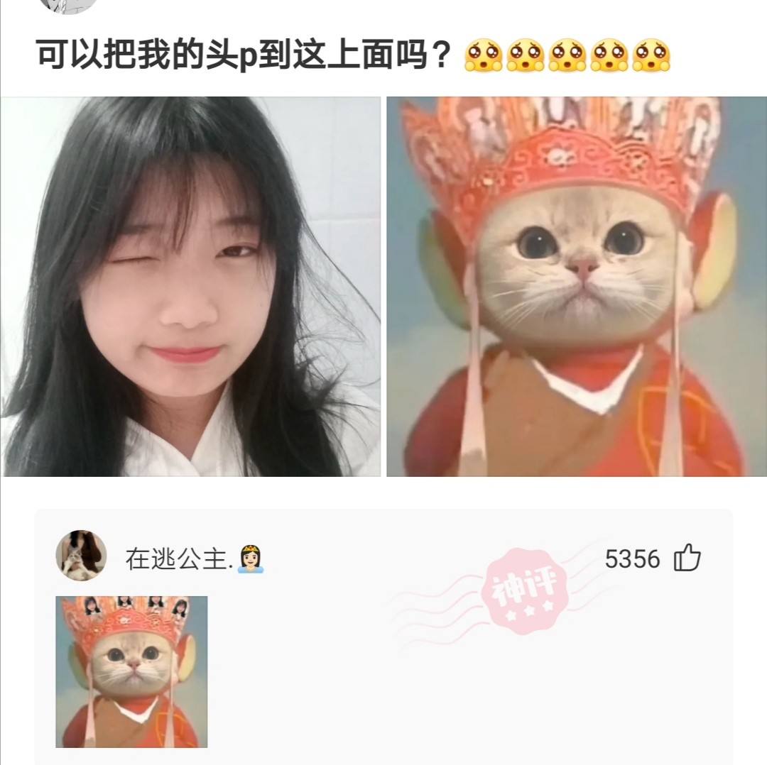 神回复|神回复:有趣的永远不是游戏,而是陪你一起玩游戏的人