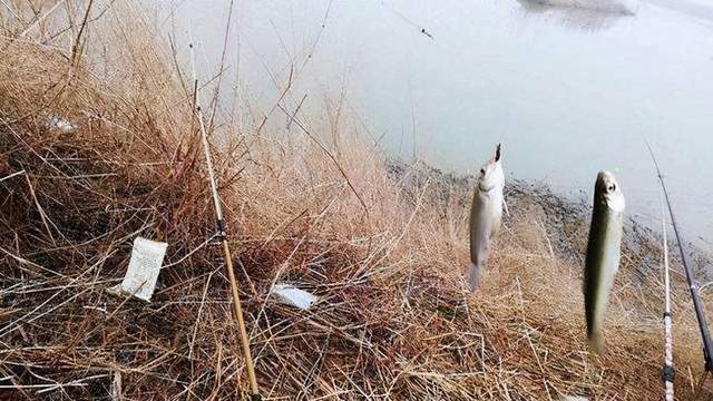 长江|这些钓点不一定会空军，但是肯定钓不到大鱼