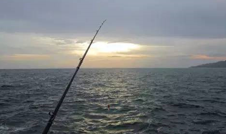 饵料|为什么钓鱼总是脱钩？问题不解决，野钓容易吃大亏——盛世三渔