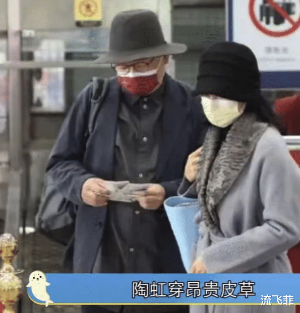 陶虹|张静初陶虹倡导吃素引起不满,网友:你看她们穿的戴的都是什么