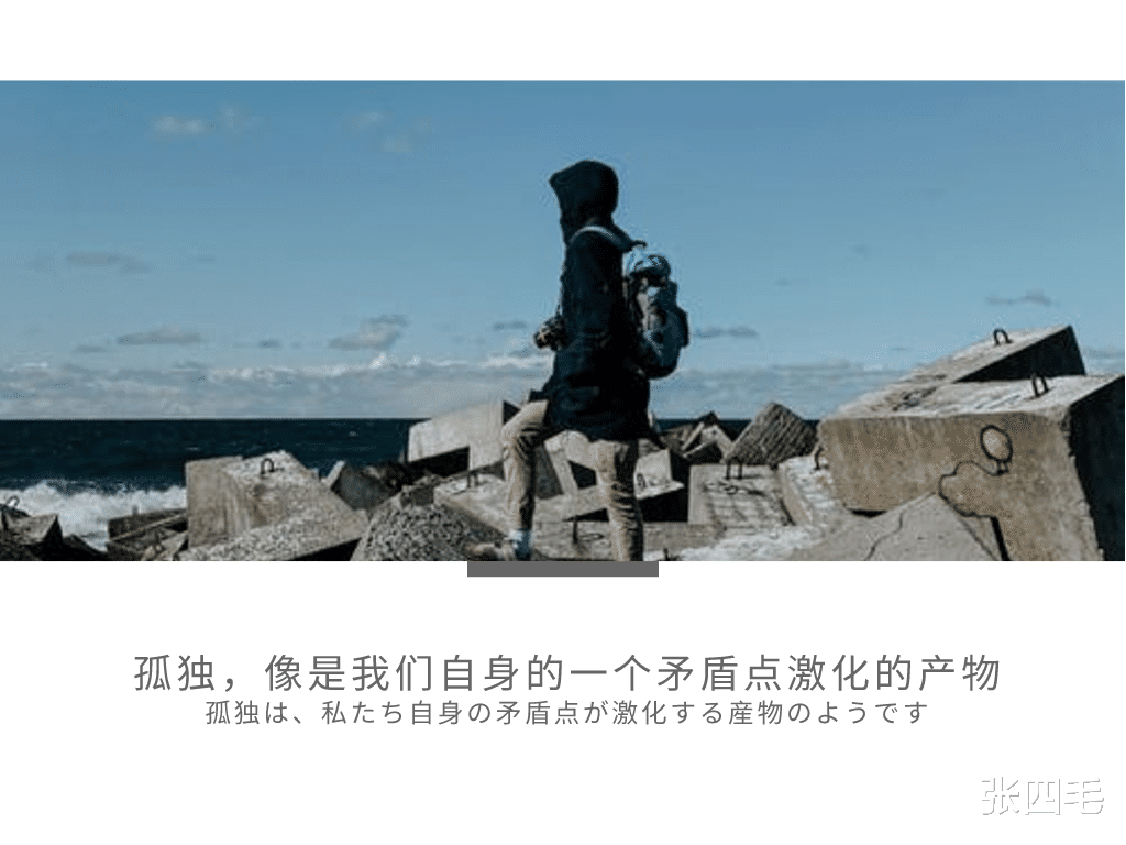 张四毛|“孤独才是人生常态，你又何必耿耿于怀”