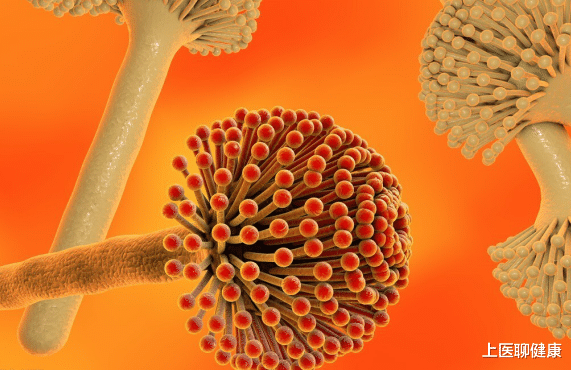 运动|最伤肝的“水果”公布！很多人当宝，整袋往家提，千万要管住嘴