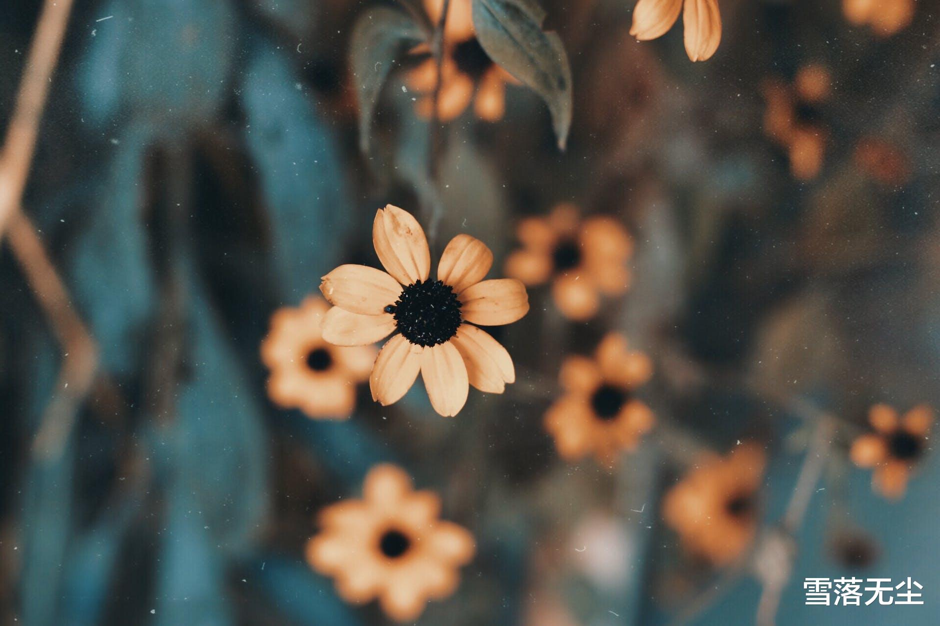 雪落无尘|越懂得闭嘴的人，人品越好，可以放心交往