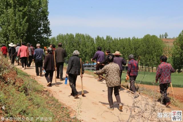 摄客微刊 全国独家新品茶落户小山村，每斤不低3000元，当地告别无茶叶历史