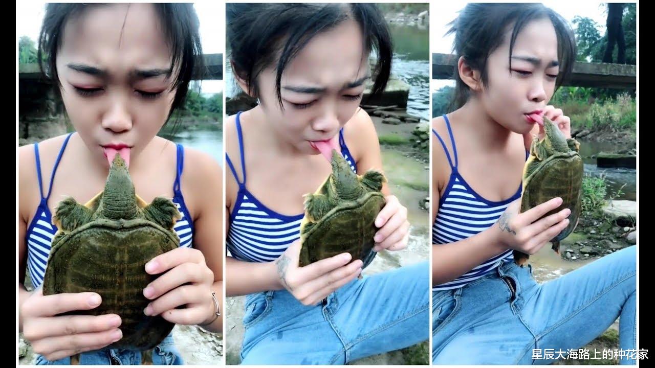 星辰大海路上的种花家 不小心被乌龟咬到，越咬越紧，打死也不松口，怎么办？