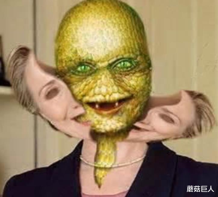 蘑菇巨人|星际麻烦制造者，天龙人的前世今生，在数千万年前布下的万古迷局