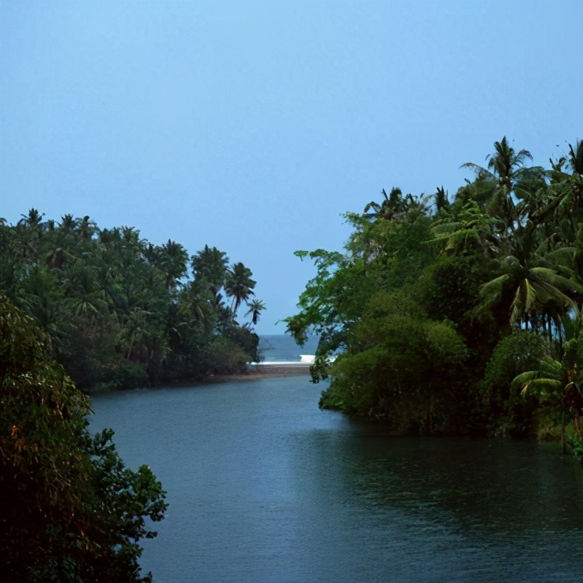 饵料|鱼突然停口是什么原因？用好对策别白费工夫！——盛世三渔