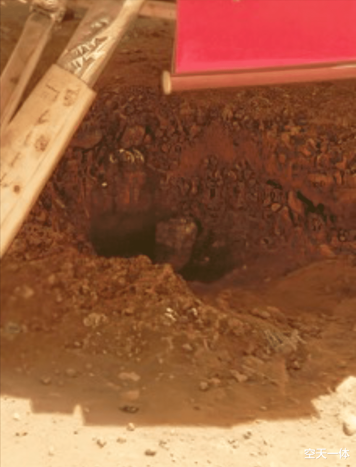 火星 祝融号在火星发现“生命化石”，天问一号降落瞬间轰出“泉眼”？