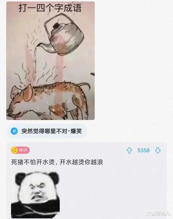 沙雕|神回复：我家路由器改个什么名字才能压过他？