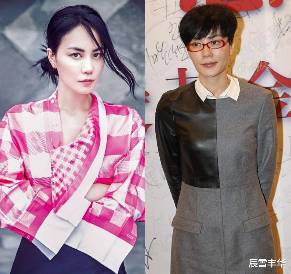 辰雪丰华 王菲的穿衣风格换品味了？打扮的好有“书生气”，看着很像班主任