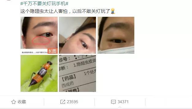 隱翅蟲|熱搜第一！醫生緊急提醒