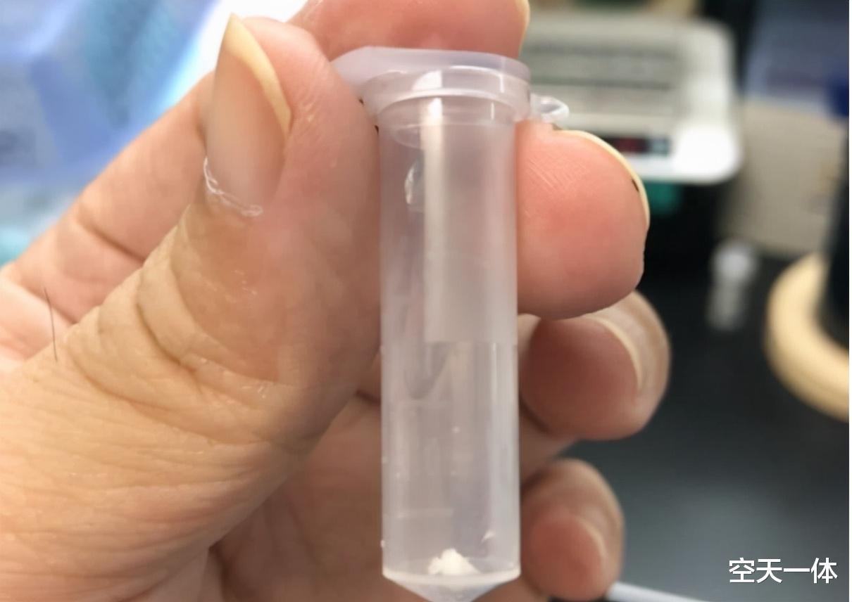 先是变淀粉,现在又变航空燃料,二氧化碳:从没想过自己这么有用