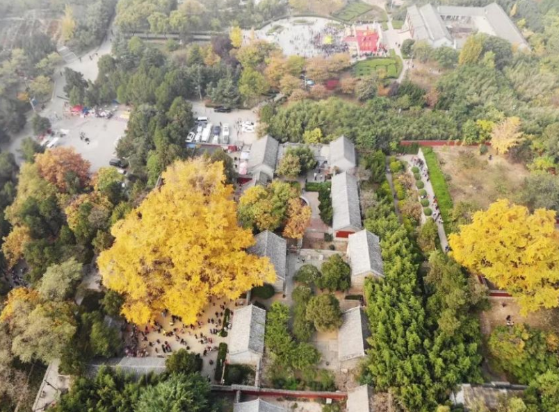 山东省 山东一千年风景区，素有“天然氧吧”之称，如今游客罕至将为3A