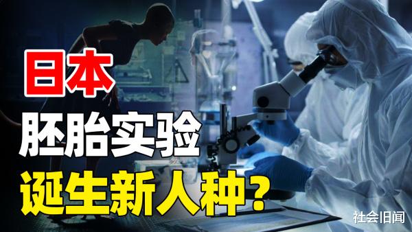 西湖大学 人和黑猩猩不能产生后代，把黑猩猩换成猪呢？日本做胚胎实验有了答案