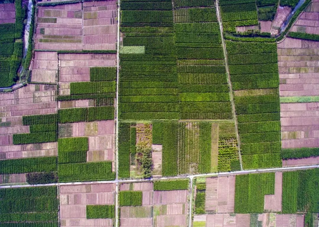 延津融媒 谷雨：莫愁春暮芳华尽，雨生百谷万物润