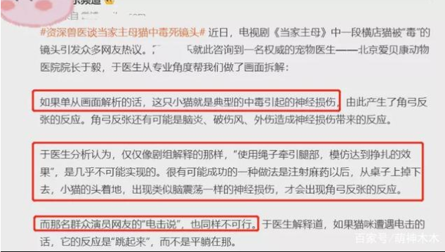 当家主母|《当家主母》摄制组发声明澄清，声明未盖公章，大V确认猫已死亡