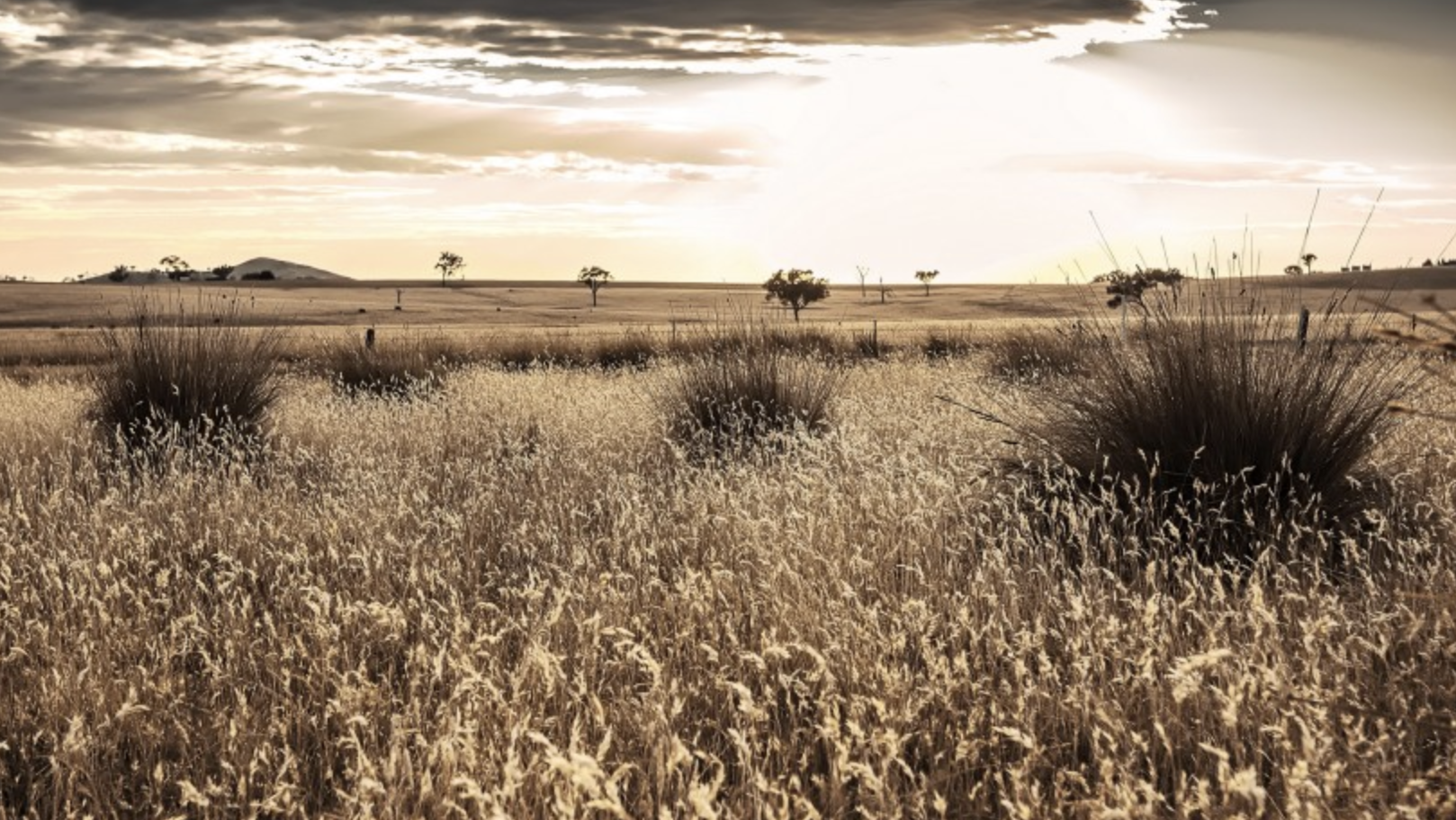 白羊座|智慧过人，却喜欢装傻充愣的星座，城府极深，心肠不坏，捉摸不透
