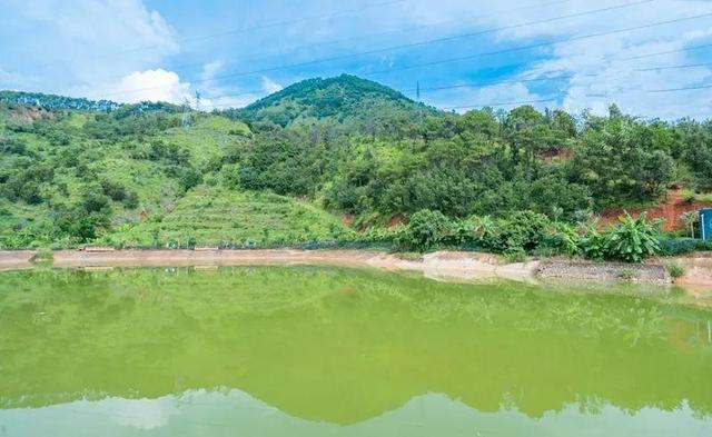 溺水 安逸！攀枝花这里新增一处山地公园