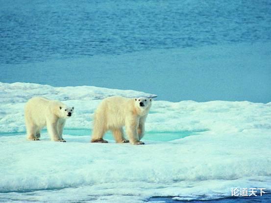核聚变 冰川融化破纪录！格陵兰岛冰盖消失倒计时，给人类敲响警钟