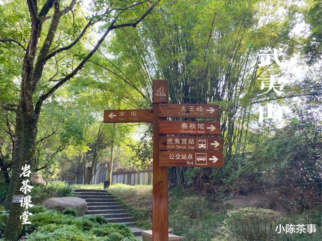 柠檬|无论肉桂、水仙、大红袍，喝武夷岩茶的尽头，都是老丛和陈茶？