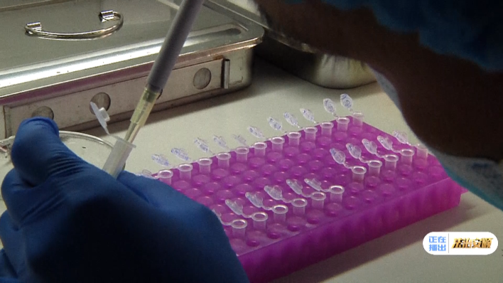 安顺直通车 警营“师徒记”系列：安顺警营的“师”言“徒”语