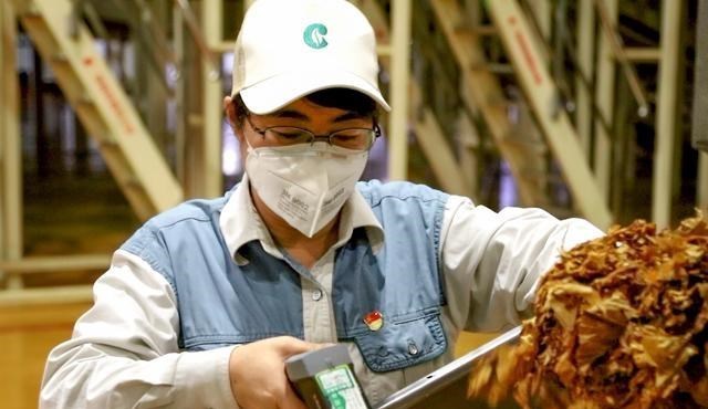 教教你家娃|国人公认的暴利行业,却已经3年亏损,烟草行业不赚钱了吗?