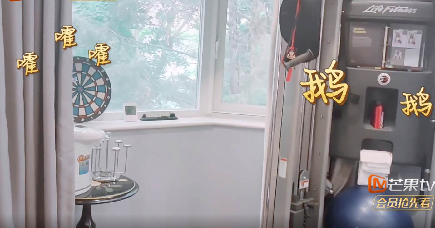 |宁静豪宅引唏嘘！插线板随地扔，客厅被健身器材堆满，浴室就拉个帘？