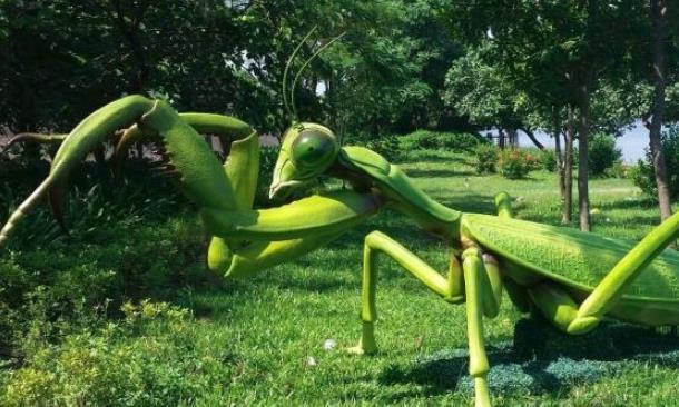 电影霸主|若把其它生物体型放大10倍，人类还能保住地球霸主吗？
