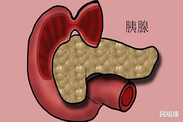 饮食|“饥饿使人长寿,饱食使人生病”,有科学依据吗?应该怎么吃呢?