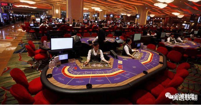 枫语联翩 你永远成不了赌圣