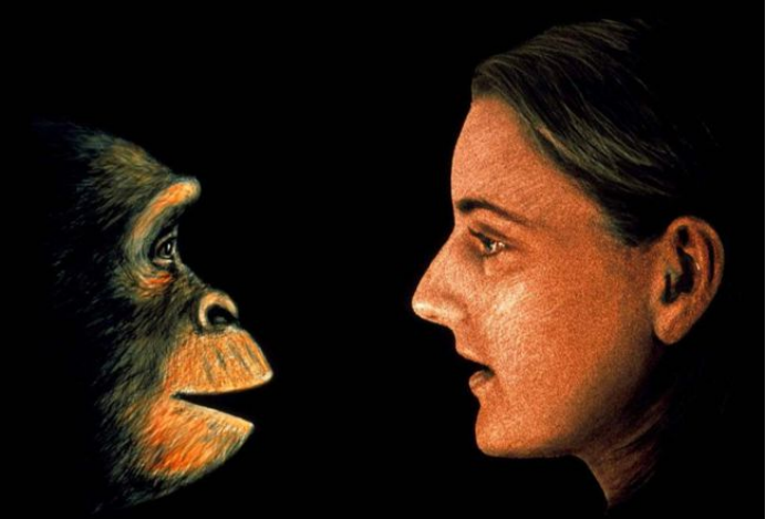 爱因斯坦 如果地球只剩下一男一女，多久后才能诞生文明？人类要开始警惕了