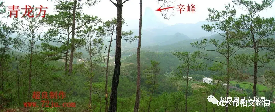 风水命相文超良|坟前有个坑，不管倒多少泥都填不上，最后明师指点放这个进去…出了两个军长八个团长！