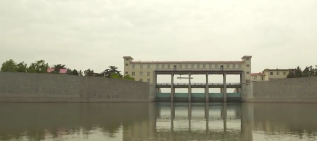 铜山湖 铜山湖水面爬出巨型水怪，长着两只角眼放绿光，它到底是何生物？