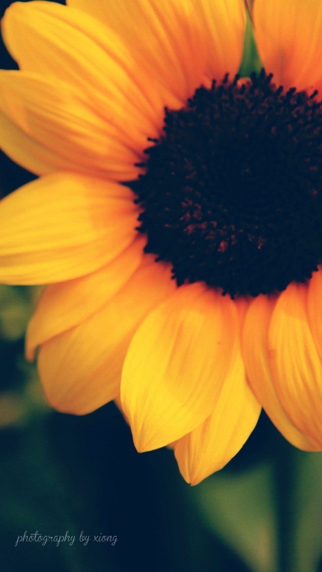 天若星河 为报父仇，如此疯狂的恨刺痛多少人心