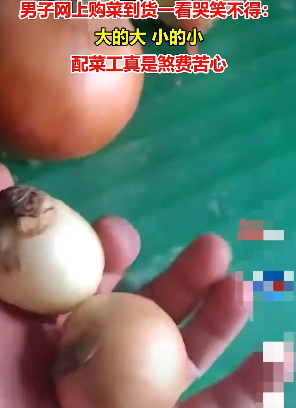 男子网上购买蔬菜,收到货后哭笑不得:配菜工真是煞费苦心了!