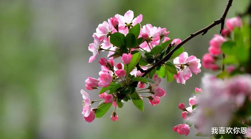 芜湖|从红颜知己到红颜祸水，只因为没有控制好感情，也许做忘年交更好