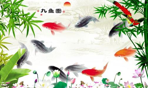 考试|办公室挂九鱼图到底好不好