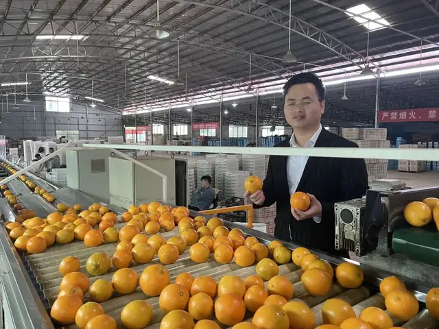 谁来接褚橙的班?