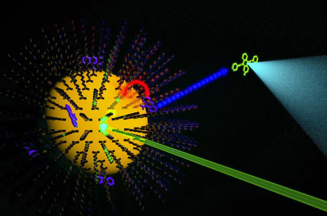 科学家 科学家可以通过量子点可视化脑细胞分子过程