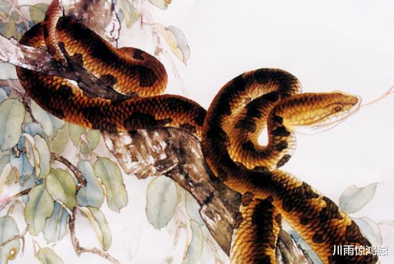 属龙|属龙人:未来3个月蒸蒸日上,做啥都有人暗中相助