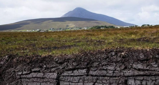 科学家警告:北极植物高度大幅增加,变得生机盎然!或会引发灾难
