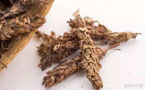 牡蛎|中医治阴囊潮湿的案例！化解口苦、尿黄、舌苔黄腻，方子说给你